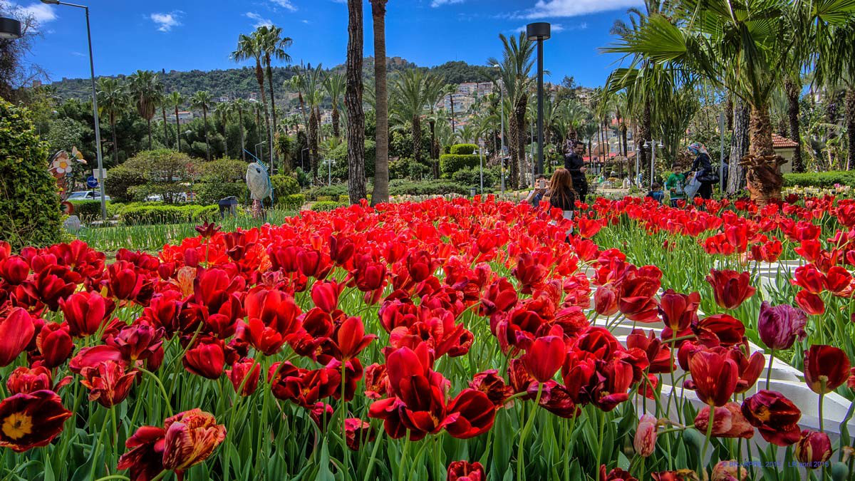 Махмутларе симпатичный парк с цветами